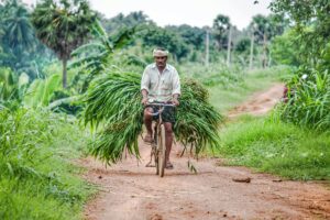 Man Riding Bicycle on Dirt Road